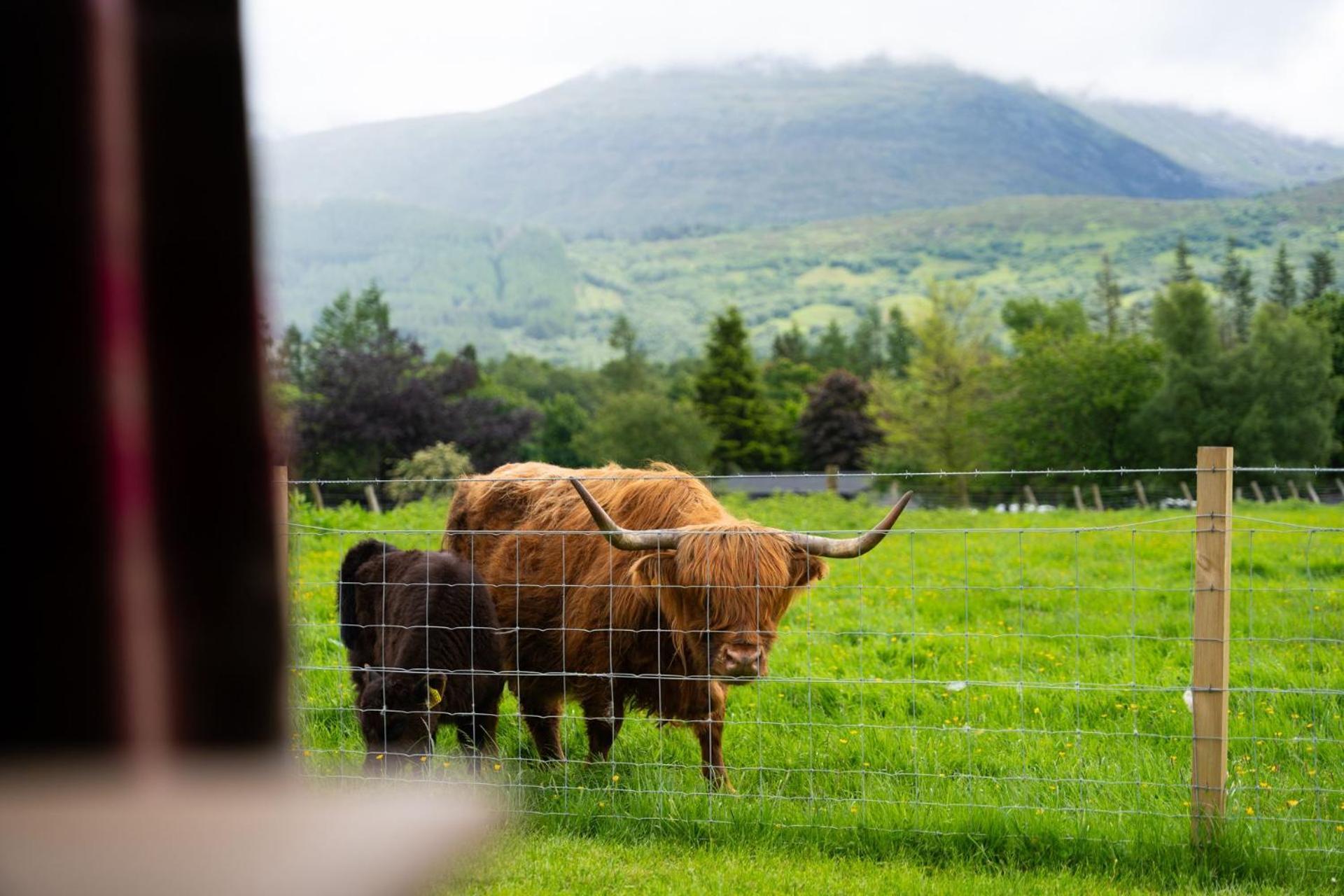Ben Nevis Pod Villa Fort William Dış mekan fotoğraf