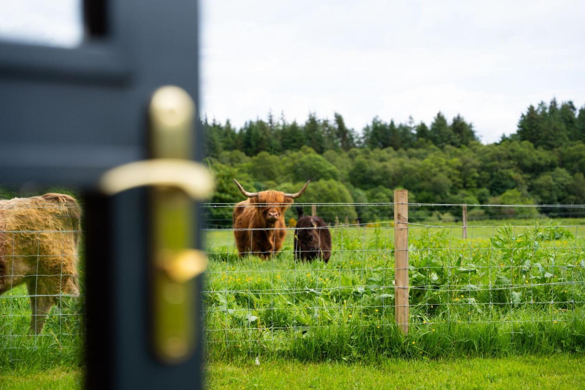 Ben Nevis Pod Villa Fort William Dış mekan fotoğraf